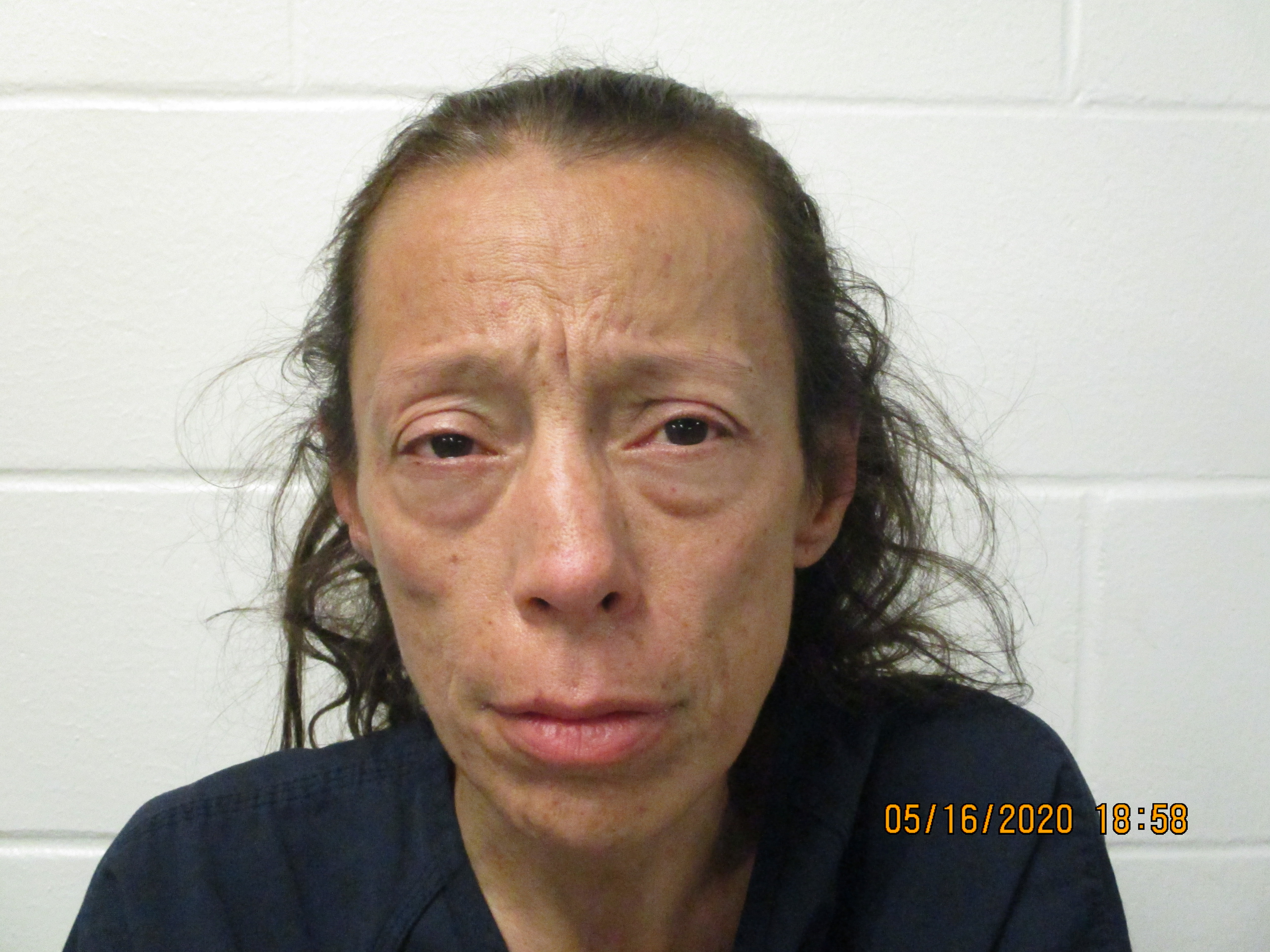 Laura Elizabeth Bibby Info, Photos, Data, and More / Laura Elizabeth Bibby TriCountyBusts / Is Laura Elizabeth Bibby on Social Media Like Facebook, Instagram abd Twitter?