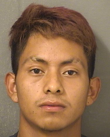 Eduardo Alfonso Cobon Morales Records Eduardo Alfonso Cobon Morales / Eduardo Alfonso Cobon Morales Photos Eduardo Alfonso Cobon Morales